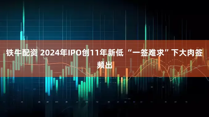 铁牛配资 2024年IPO创11年新低 “一签难求”下大肉签频出