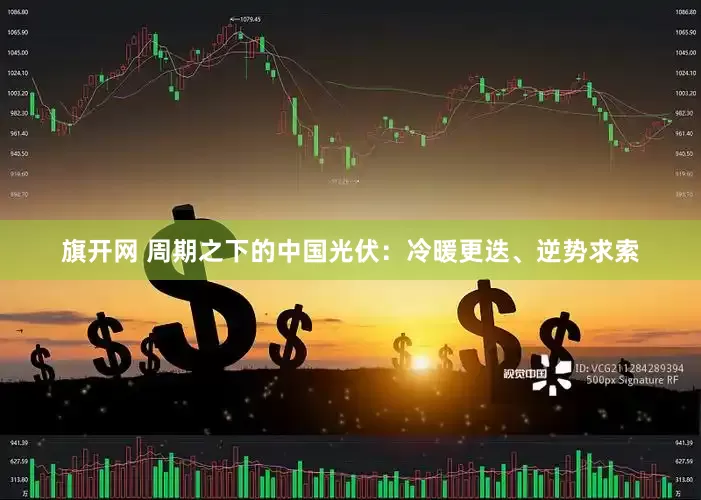 旗开网 周期之下的中国光伏：冷暖更迭、逆势求索